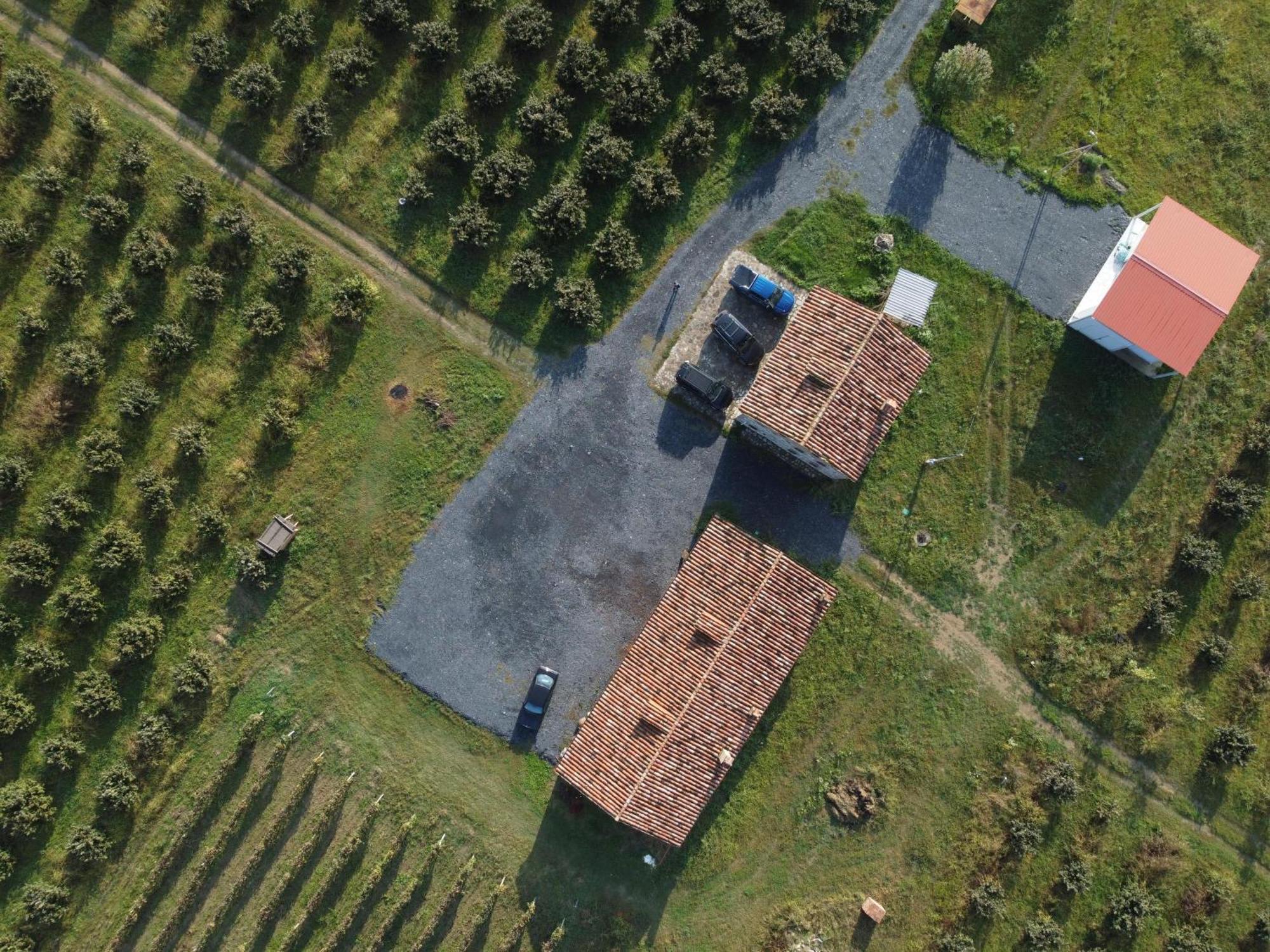 Mestvireni Telavi Exterior photo