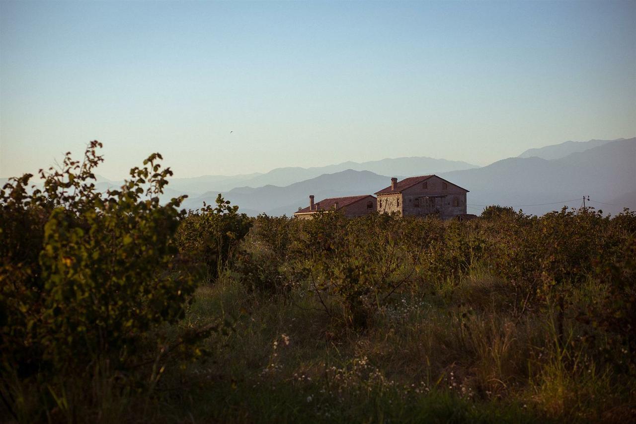 Mestvireni Telavi Exterior photo