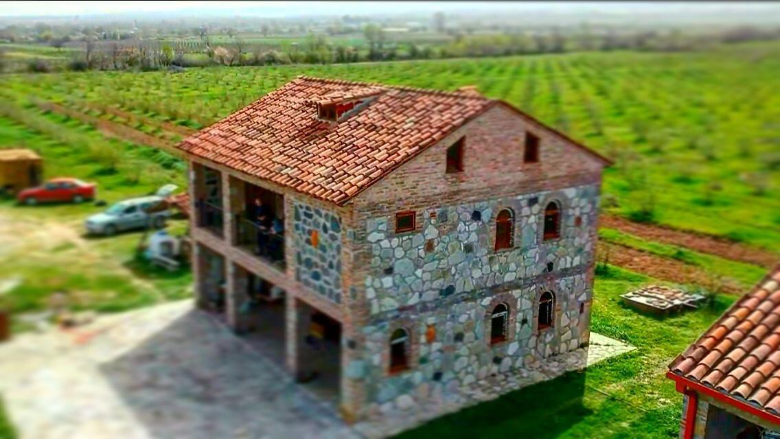 Mestvireni Telavi Exterior photo