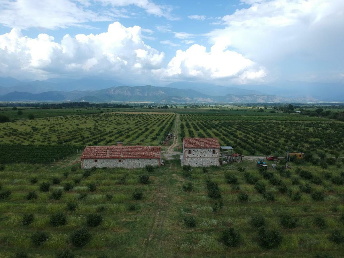Mestvireni Telavi Exterior photo